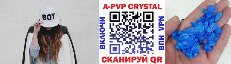 A PVP СК КРИС  Мытищи 