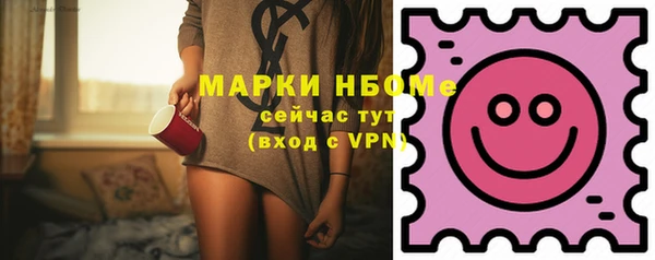 хмурый Каменка