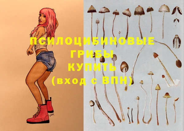 бошки Каменск-Шахтинский