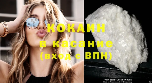 хмурый Каменка