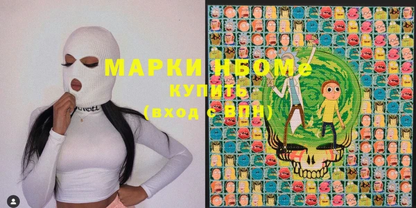 хмурый Каменка