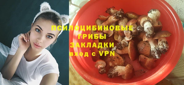 хмурый Каменка