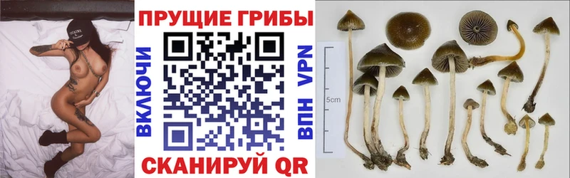 Псилоцибиновые грибы ЛСД  Мытищи 