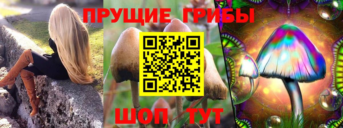 Псилоцибиновые грибы Magic Shrooms Мытищи