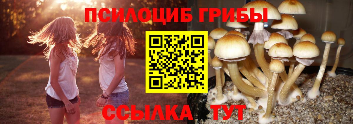 Галлюциногенные грибы Magic Shrooms  Вход с VPN  Мытищи 
